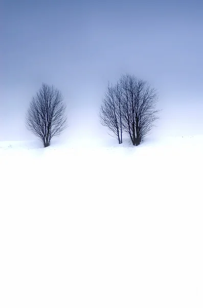 Inverno 2 — Fotografia de Stock