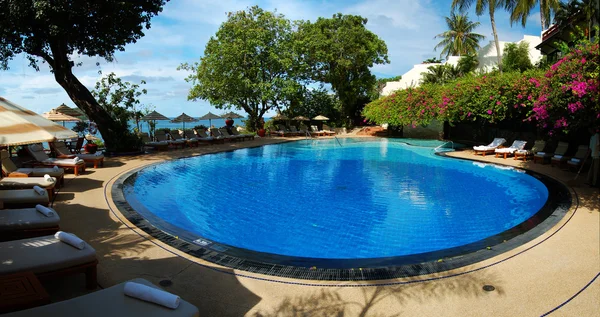 stock image Swimming Pool in the tropics