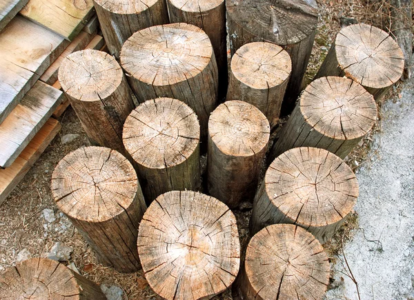 Troncos de madera —  Fotos de Stock
