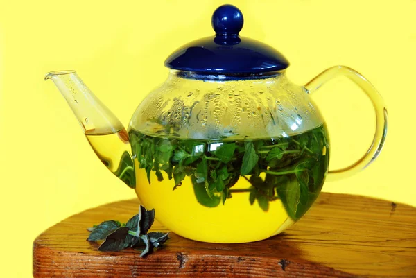 Mint herbal tea — Stock Photo, Image