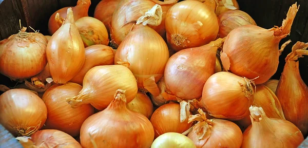Orange Onions Background — Zdjęcie stockowe