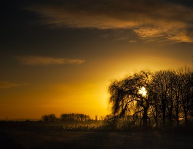 manzara meydana gelen solar1