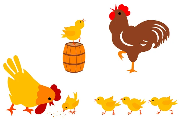 Chicken Family — Stock Vector