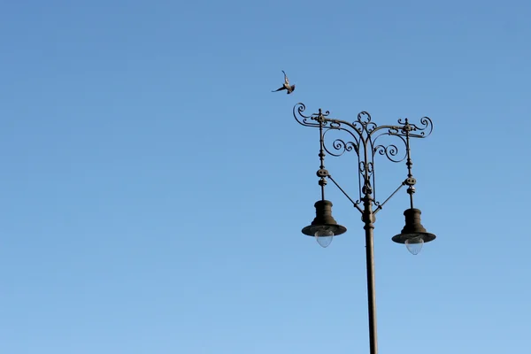 stock image Lamp post and pigeon