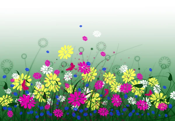 用鲜花和天空春天草甸 — 图库照片