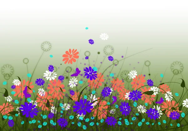 Våren äng med blommor och sky — Stockfoto