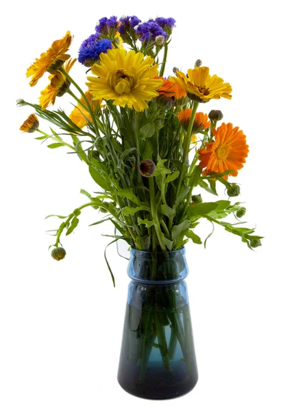 stock image Bouquet in a blue vase