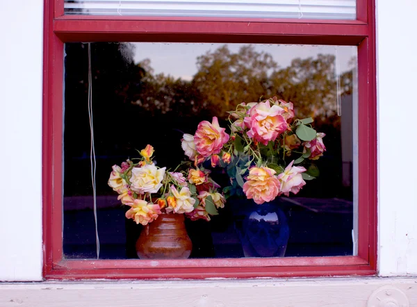 ดอกไม้ในกรอบหน้าต่าง — ภาพถ่ายสต็อก