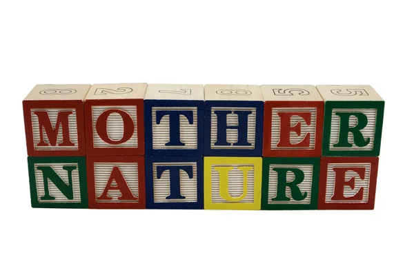 stock image Mother Nature Toy Blocks