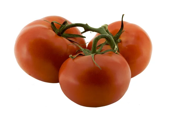 stock image Three tomatoes on the vine b