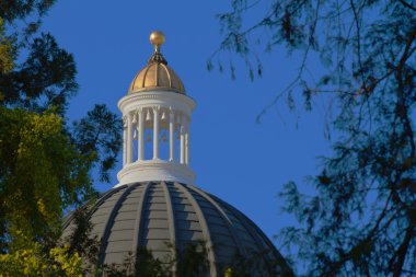 Closeup California Devlet Capitol Dome
