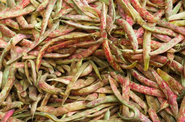 Pile of Cranberry Beans clipart