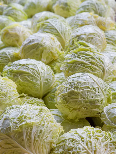 Cabbage Pile vertical — Stock Photo, Image