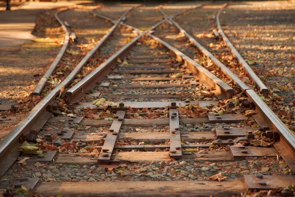 Közelről vasúti pályák kapcsoló — Stock Fotó
