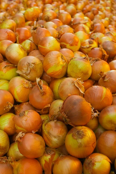 Huge Pile of Yellow Onions — Stock Photo, Image