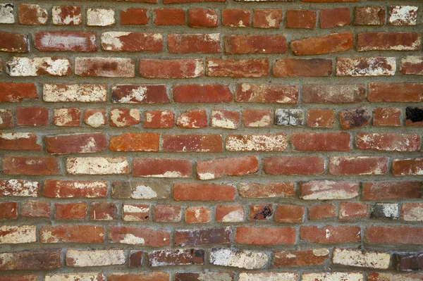 Old Red Brick Wall — Stock Photo, Image