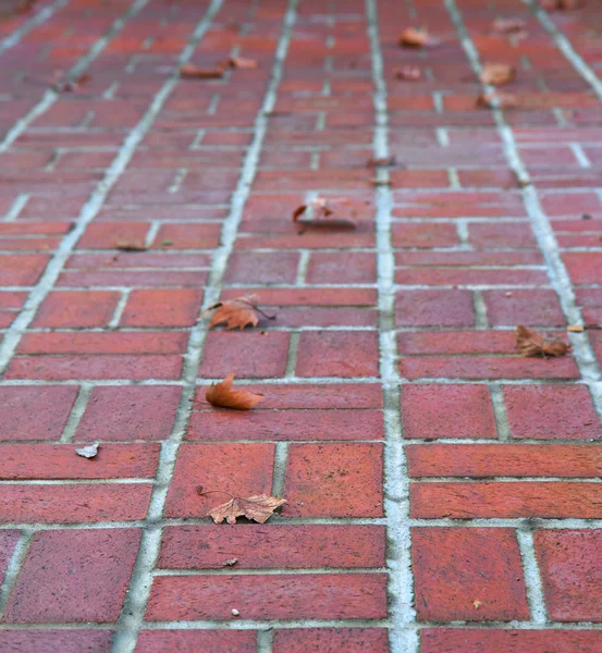 Perspective brick walkway — Stock Photo, Image