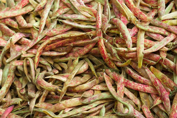 Pile of Cranberry Beans — Stock Photo, Image