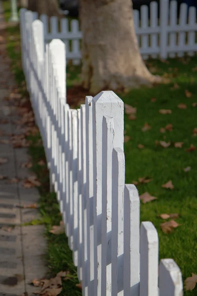 Witte piket hekken — Stockfoto