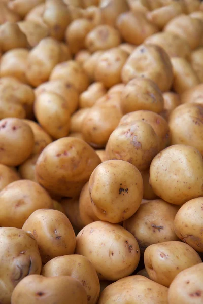 White potatoes — Stock Photo, Image