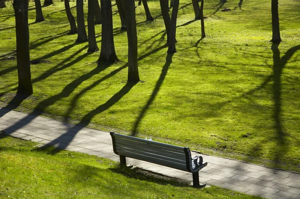 Stock image Shadows in park