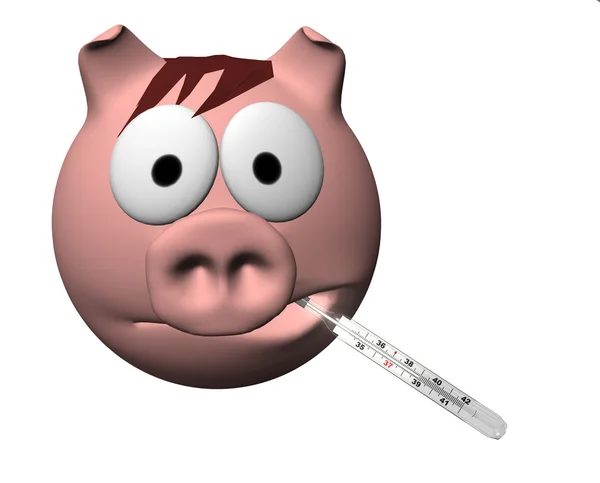 Flu Babi — Stok Foto