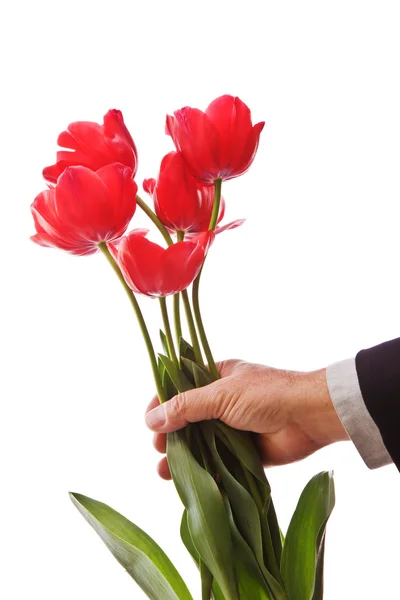 Dar tulipanes —  Fotos de Stock