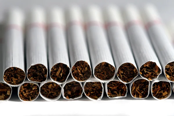 stock image Rows of cigarettes