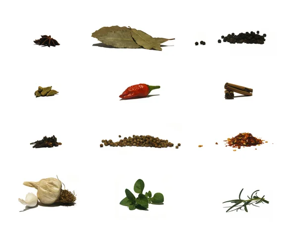 Gyógynövények és fűszerek - diagram Stock Fotó