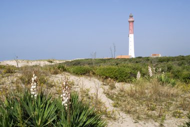 Lighthouse of La Coubre in France clipart