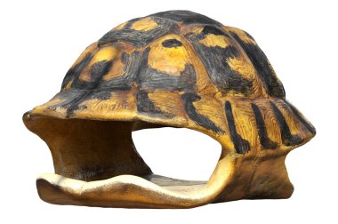 Isolated shell of tortoise clipart