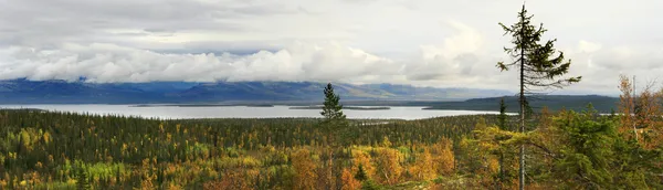 Herfst in het noorden van Rusland — Stockfoto