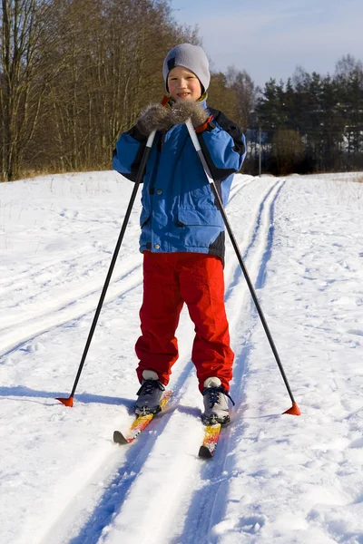 stock image Ski walk