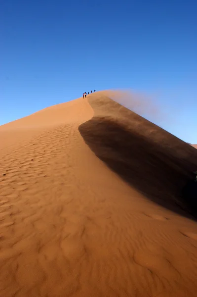 Namib Stockbild
