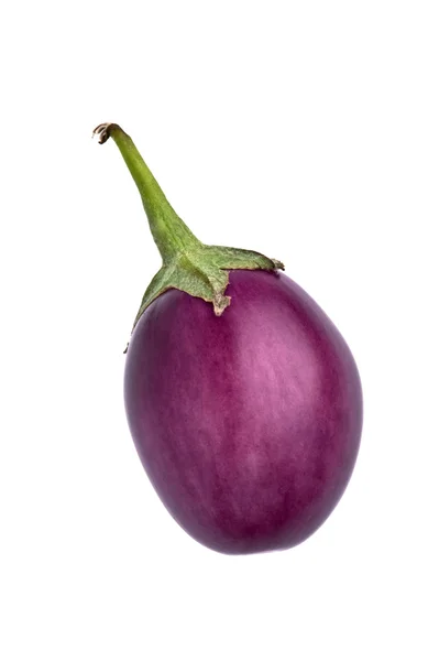 An eggplant against a white background — Stock Photo, Image