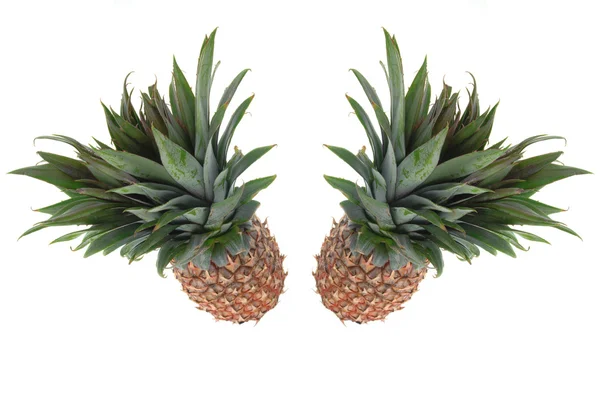 Dwa ananas na białym tle — Zdjęcie stockowe