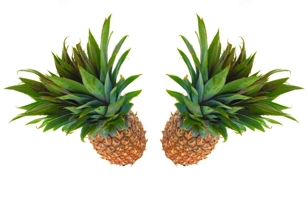 Due ananas su uno sfondo bianco — Foto Stock