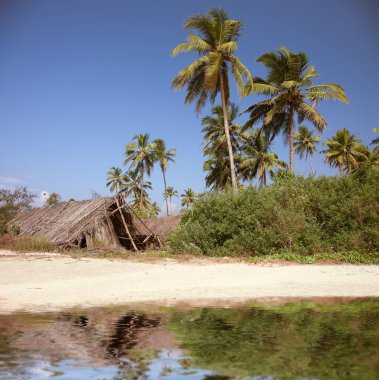 The shack on the beach clipart