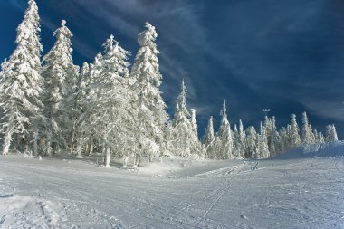 Winter landscape clipart