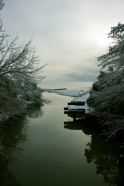 Зимове море — стокове фото