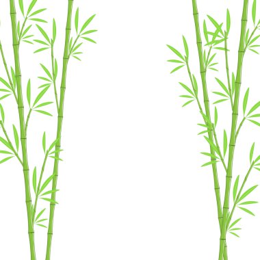 Bamboo background clipart