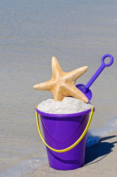 Cubo de playa con estrellas de mar —  Fotos de Stock