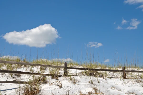 Zábradlí na písečné duny — Stock fotografie