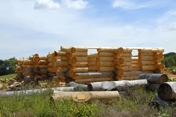 Log home bouw — Stockfoto