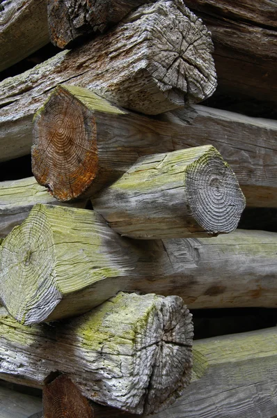 Détails de construction de la cabane en bois rond — Photo