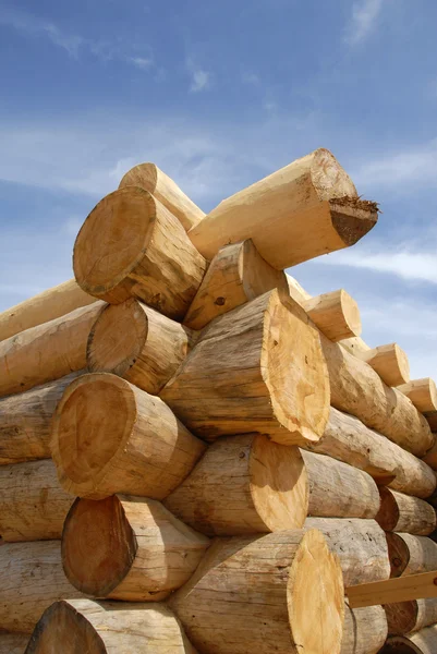 Log Home Construção — Fotografia de Stock