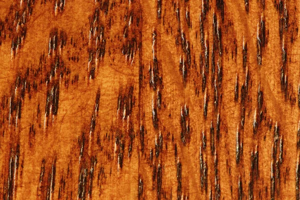 Macro de bois de chêne grain — Photo