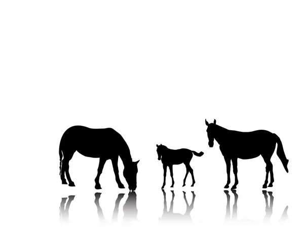 Pequena família cavalo — Vetor de Stock