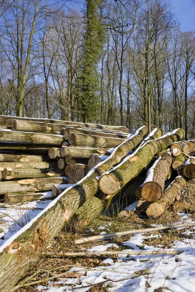 Stackof dřevo — Stock fotografie