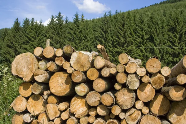 Holzstapel — Fotografia de Stock